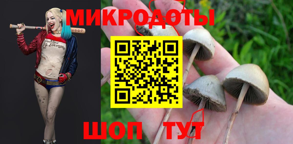 Галлюциногенные грибы мухоморы  Вход с VPN  Полевской 